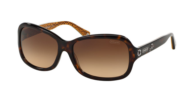 Coach HC8016 Glasses Pearle Vision Coach HC8016 Glasses Pearle Vision
